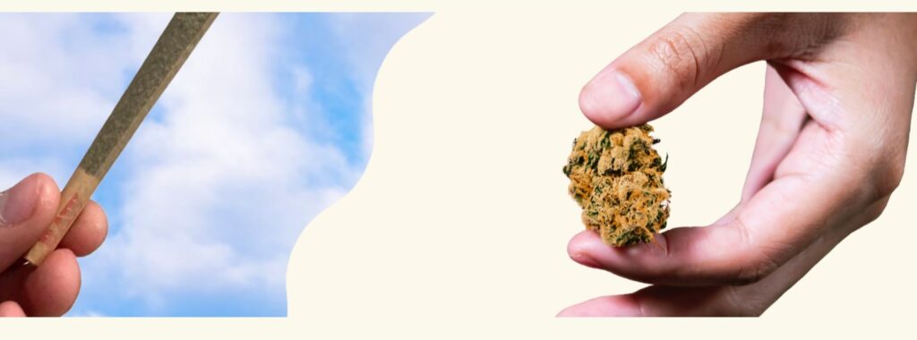 Comparison of cannabis pre-rolls and loose flower highlighting convenience and lifestyle choices at Simply Pure Trenton.